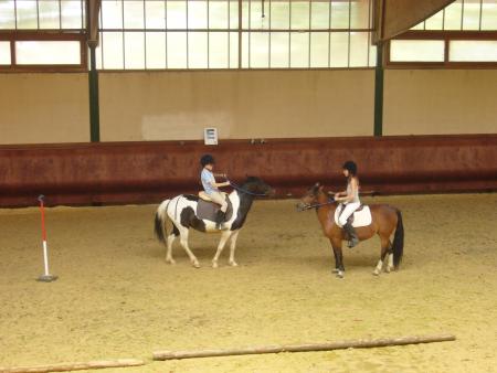 ba le pony games ..