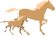 jédore les chevaux !!!